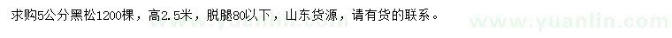 求購5公分黑松