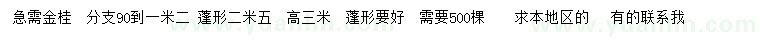 求購高3米金桂