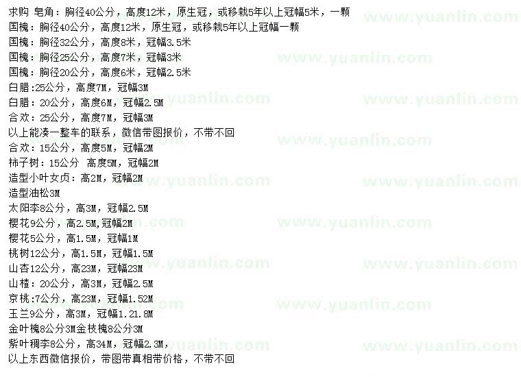 求購皂角、國槐、白臘等