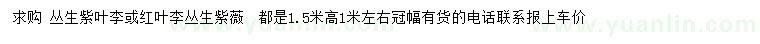 求購紫葉李、紅葉李、紫薇