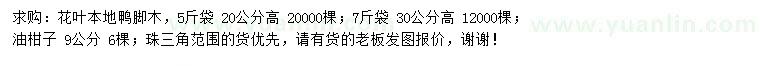 求購(gòu)高20公分花葉鴨腳木、9公分油柑子