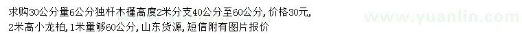 求購(gòu)30公分量6公分獨(dú)桿木槿、高2米小龍柏