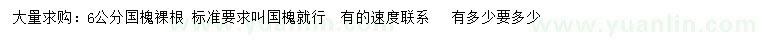 求購(gòu)6公分國(guó)槐