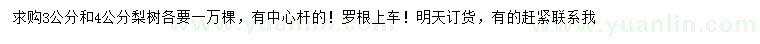 求購3、4公分梨樹