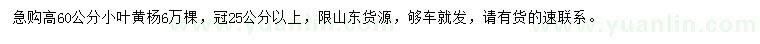 求購(gòu)高60公分小葉黃楊