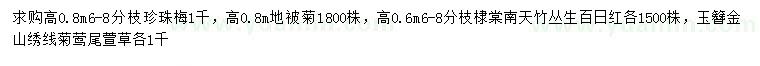求購珍珠梅、地被菊、棣棠等