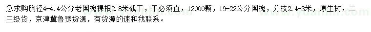 求購胸徑4-4.4公分老國槐、19-22公分國槐