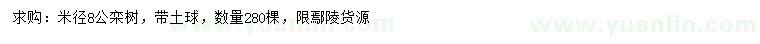 求購米徑8公欒樹