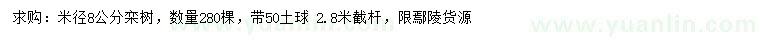 求購米徑8公分欒樹