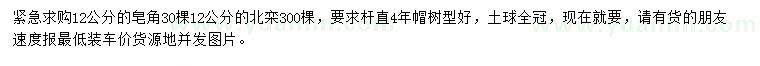 求購12公分皂角、北欒