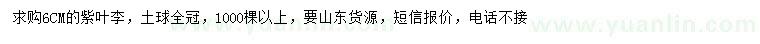 求購6公分紫葉李
