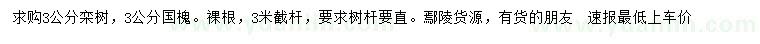 求購3公分欒樹、國槐