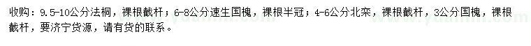求購法桐、速生國槐、北欒等