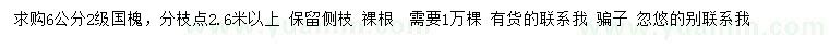 求購6公分國槐