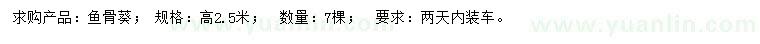 求購高2.5米魚骨葵