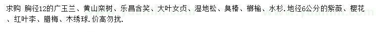 求購廣玉蘭、黃山欒樹、樂昌含笑等