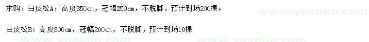 求購(gòu)高300、350公分白皮松