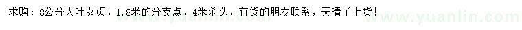 求購8公分大葉女貞