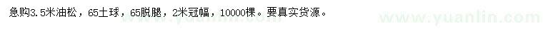 求購(gòu)3.5米油松