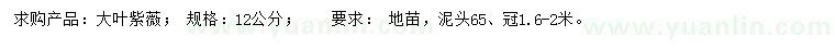 求購12公分大葉紫薇