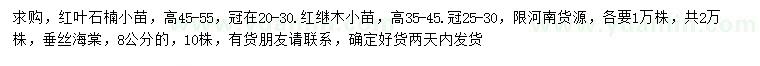 求購紅葉石楠、紅繼木、垂絲海棠