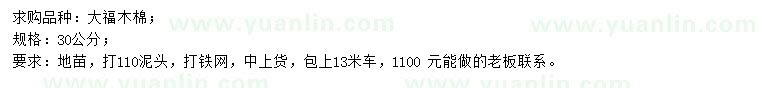 求購30公分大腹木棉