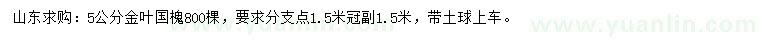 求購(gòu)5公分金葉國(guó)槐