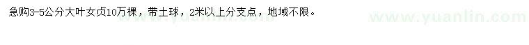 求購3-5公分大葉女貞