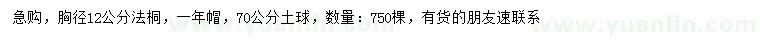 求購胸徑12公分法桐