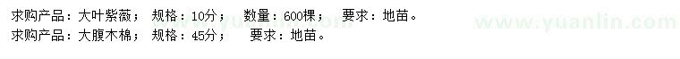 求購(gòu)10公分大葉紫薇、45公分大腹木棉