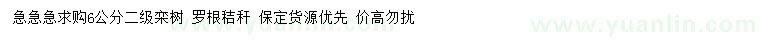 求購6公分欒樹