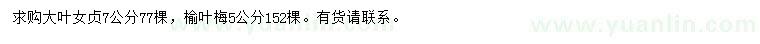 求購7公分大葉女貞、5公分榆葉梅