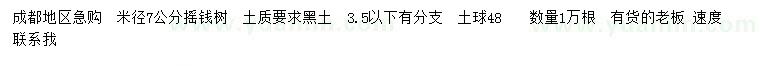 求購米徑7公分搖錢樹