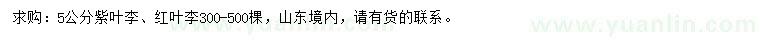 求購(gòu)5公分紫葉李、紅葉李