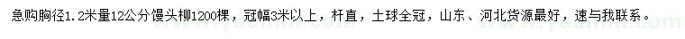 求購胸徑1.2米量12公分饅頭柳