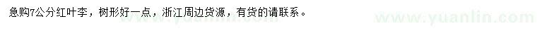求購7公分紅葉李
