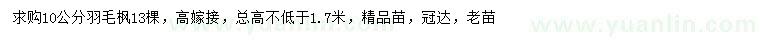 求購10公分羽毛楓