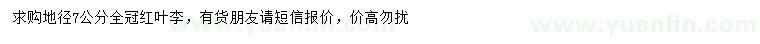 求購地徑7公分紅葉李