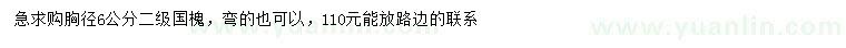 求購(gòu)胸徑6公分國(guó)槐