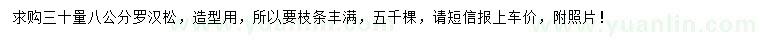 求購30量8公分羅漢松