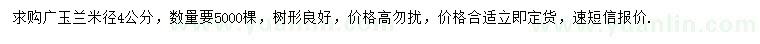 求購米徑4公分廣玉蘭