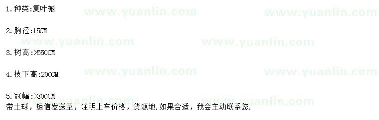 求購胸徑15公分復葉槭