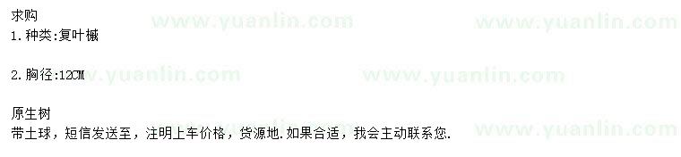 求購(gòu)胸徑12公分復(fù)葉槭