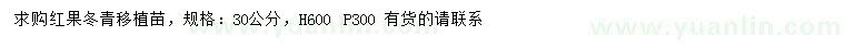 求購(gòu)30公分紅果冬青