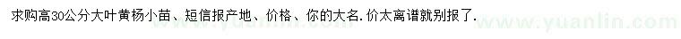 求購(gòu)高30公分大葉黃楊