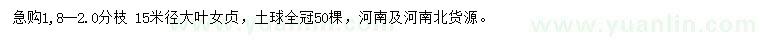 求購米徑15公分大葉女貞