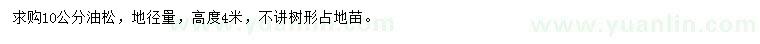 求購10公分油松
