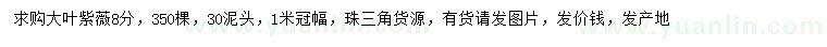 求購8公分大葉紫薇