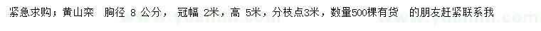 求購(gòu)胸徑8公分黃山欒