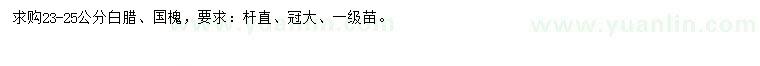 求購23-25公分白臘、國槐